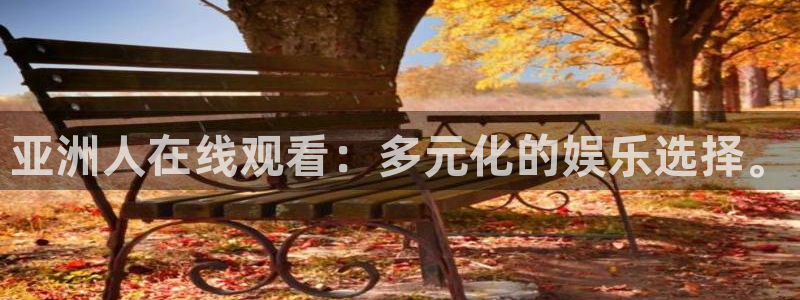 红叶电影今日影讯