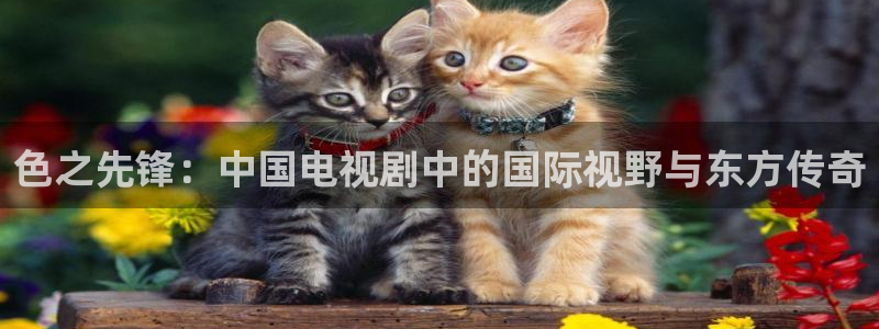 红叶影视app官方下载：色之先锋：中国电视剧中的国际视野与东方传奇