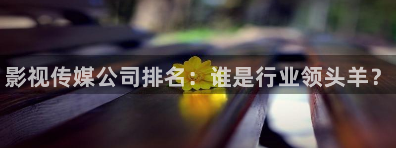 红叶影视下载app官方下载