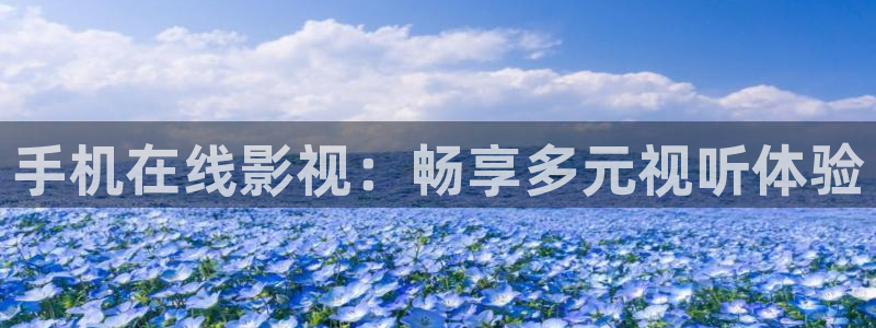 六安红叶影城电影