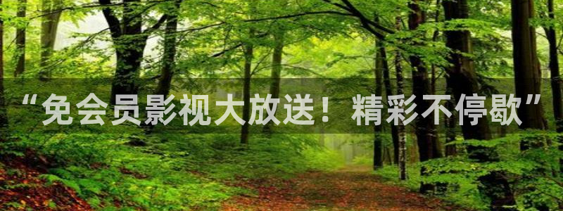 红叶影城今日影讯