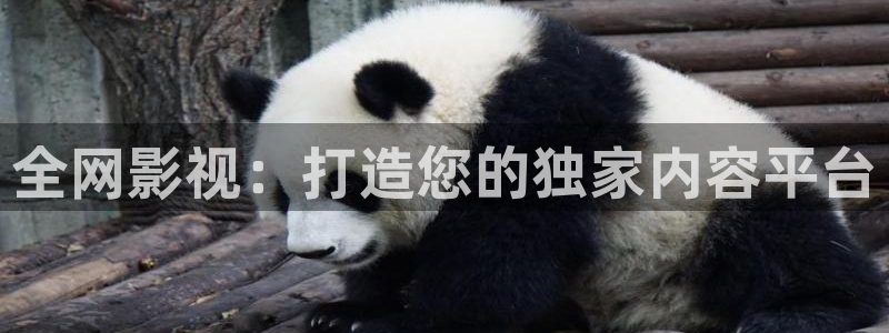 红叶影院app