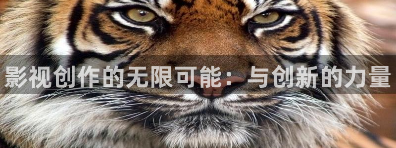 红叶影视：影视创作的无限可能：与创新的力量