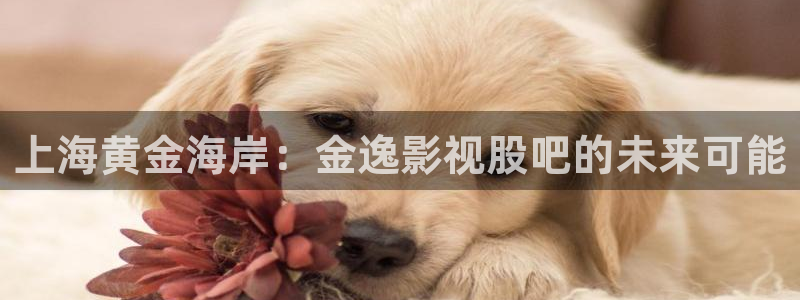 红叶电影院今日影讯：上海黄金海岸：金逸影视股吧的未来可能